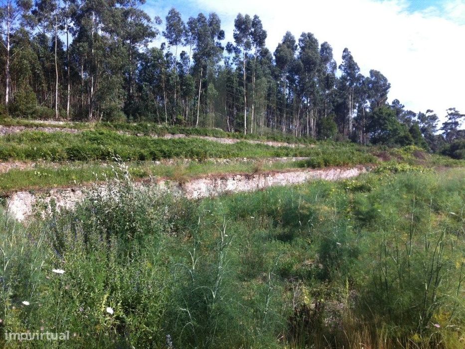 Terreno para construção em Vilar de Mouros