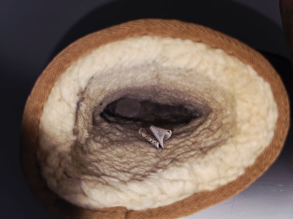 Oryginalne UGG rozmiar 36