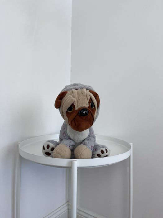 Pluszowy piesek w bluzie