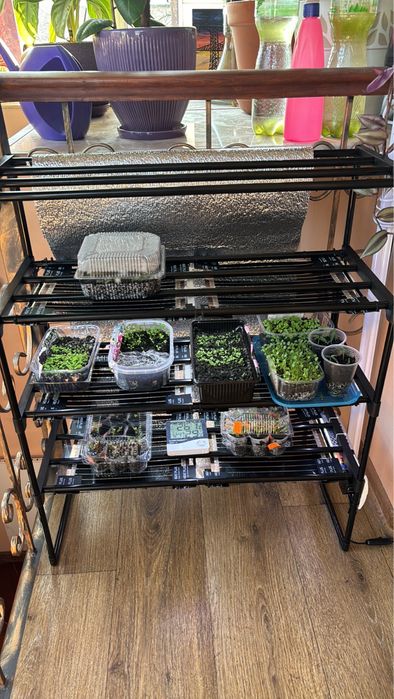 Продам міні тепличку для россади