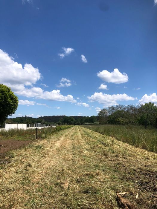 Moradia para reforma em Fermentelos