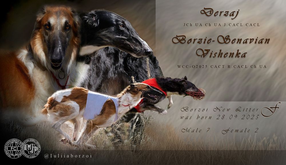 Щенки псової борзої