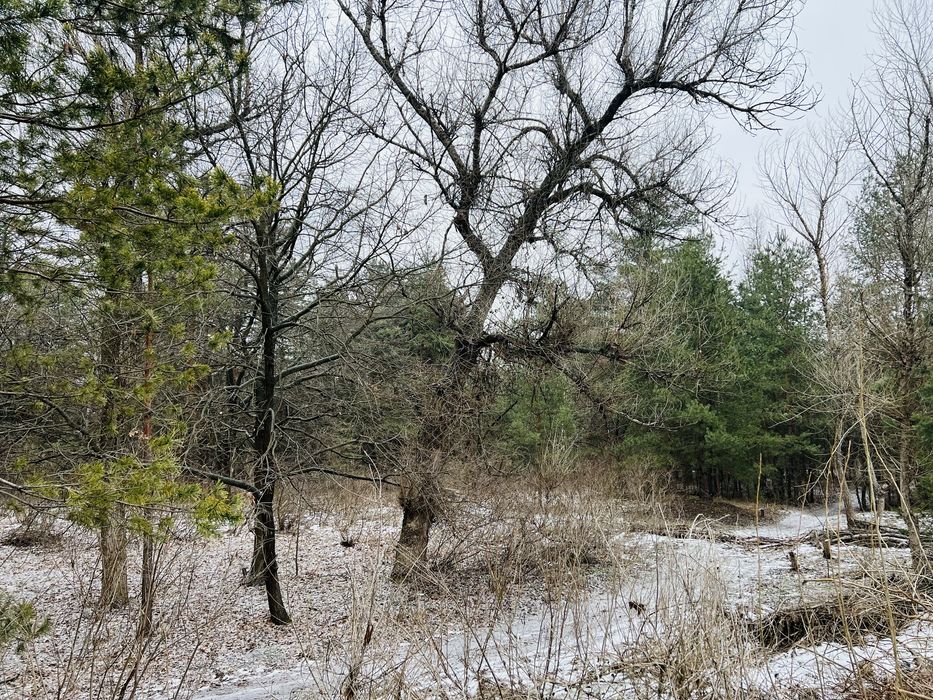 Продам Участок в Обуховке река лес пляж