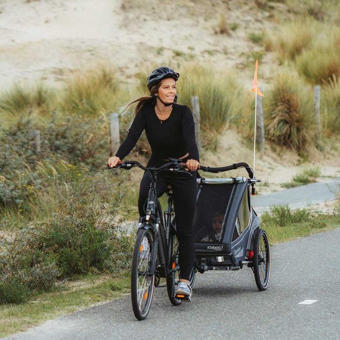 Qeridoo KidGoo 2 Navy Blue przyczepka rowerowa dla dwójki dzieci
