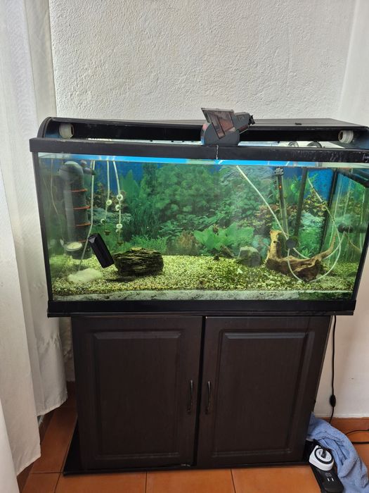 Aquário com móvel e filtros 200l