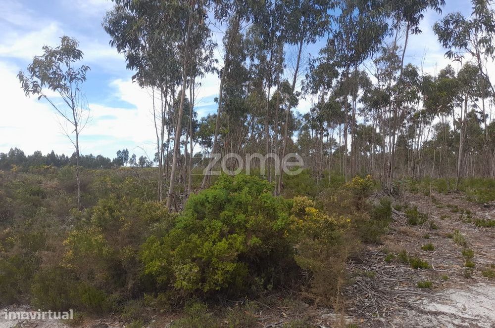 Terreno Rustico com 12580m2