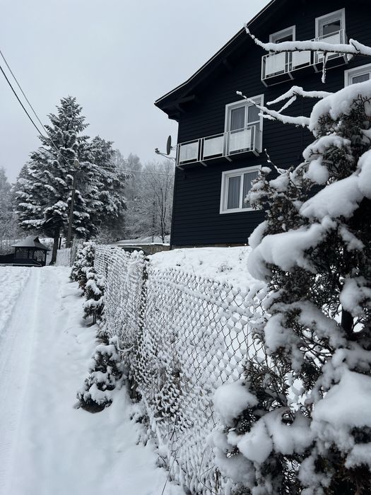 Оренда панорамного будиночку