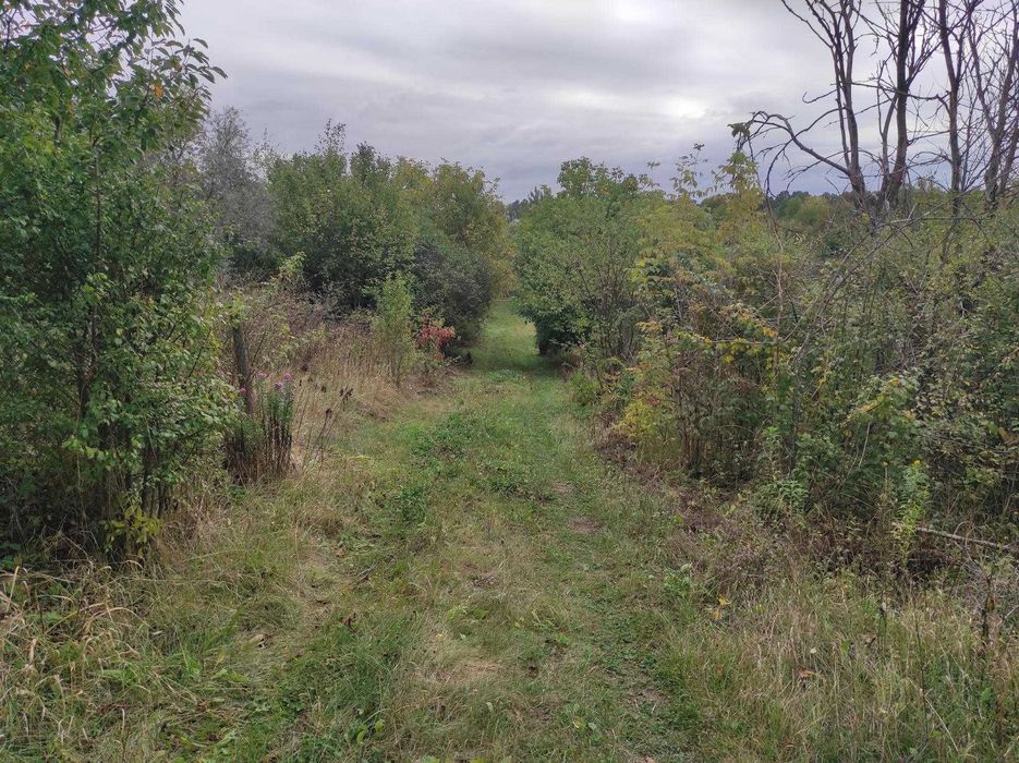 Дачний будинок в СДТ «Красне», біля Вінниці.