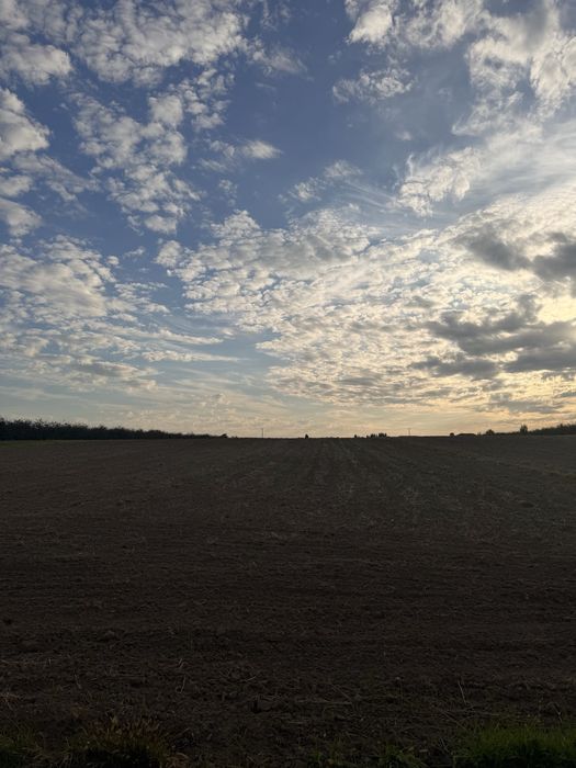 Działka 1,40 ha, nr 420, Kleczanów, gmina Obrazów: zaorana, równa, asfalt