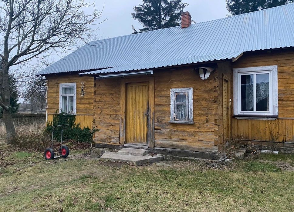 Zdjęcie 3