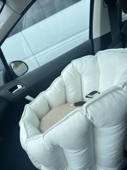 Автокрісло для собак Переноска для собак у машину Крісло для собак в авто Автомобільна безпека для собак