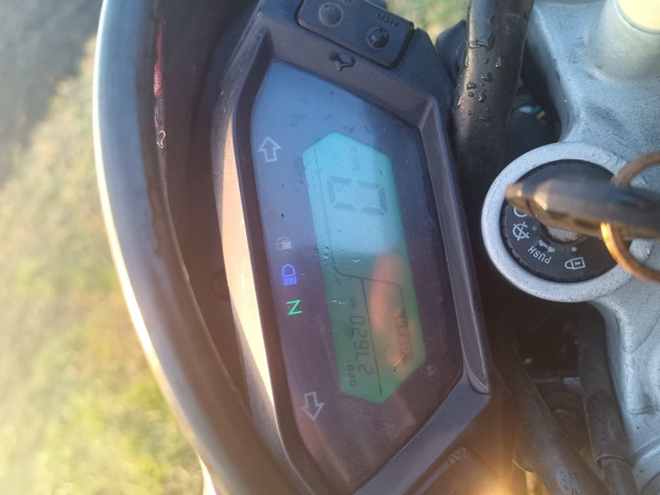 Продам лось 250 лонцін