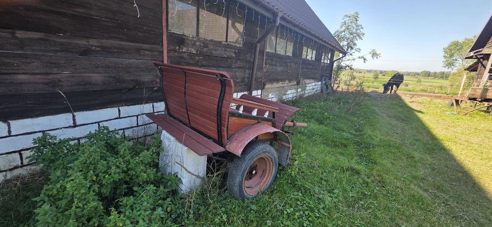 Bryczka konna  rydwan