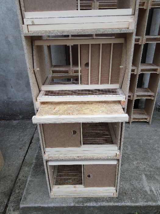 gołębnik 5m x 2m gołębie pocztowe ozdobne białe