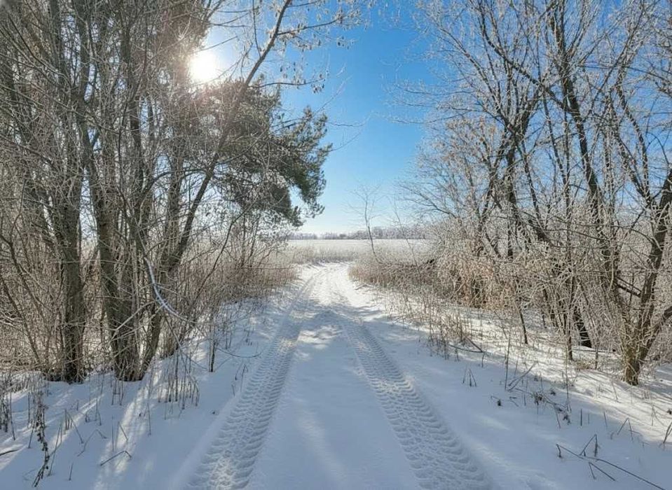 Продаж земельної ділянки 71 сотка - ОСГ. До траси - 100 метрів. ID:608