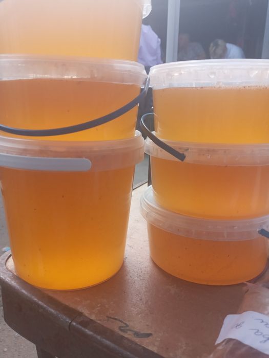 Продам смачний   , натуральний мед з власної пасіки.