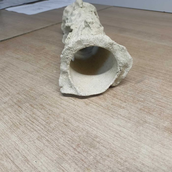 Grota maximus do akwarium