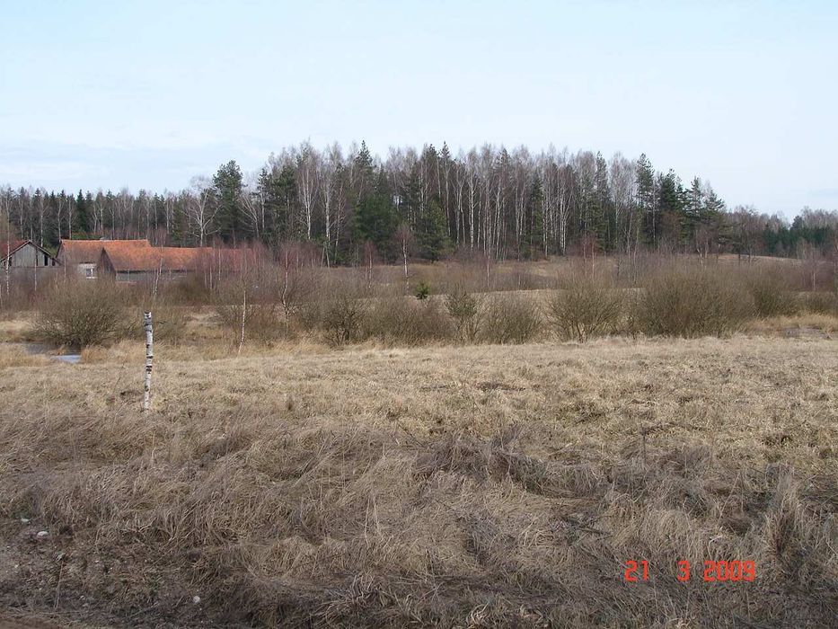 Teren 0,3166 ha pod mazurskie rancho - Widok 2