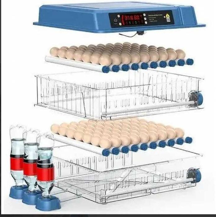 Безкоштовна доставка! Інкубатор для яєць автоматичний Vertis! Акція