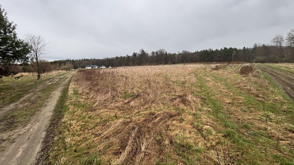 Działka Olbrachtów  1,1h. rolna z warunkami zabudowy - View 2