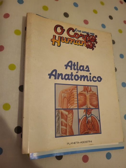 Coleção completa do Corpo Humano