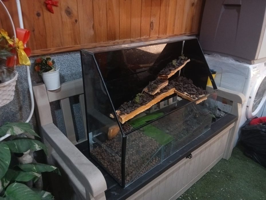 Aqua Terrário para despachar