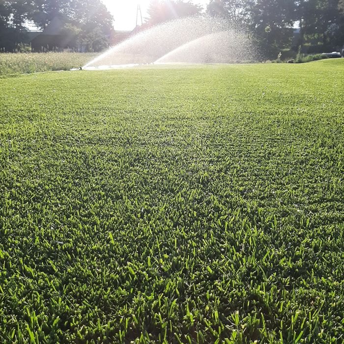 Systemy nawadniające, zakładanie trawników, glebogryzarka separacyjna,