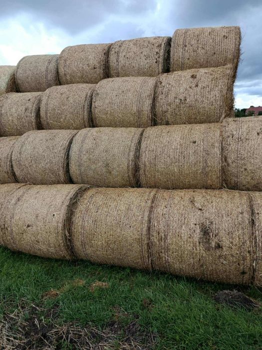 Sprzedam siano i słomę