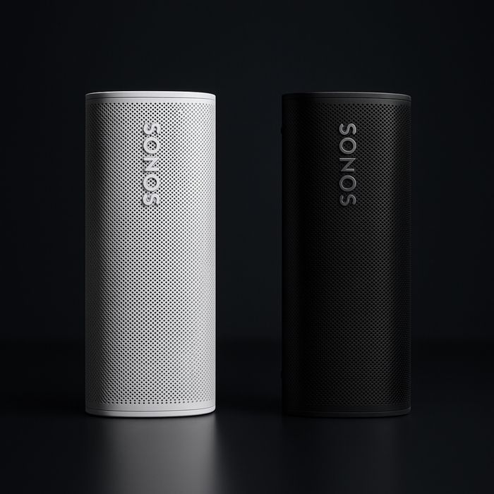 Sonos roam Колонки