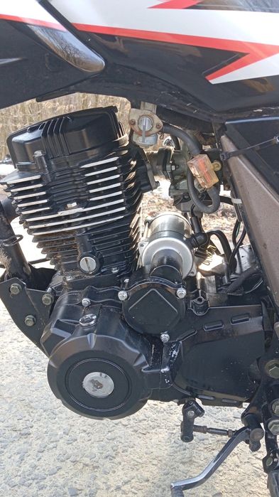 продам мустанг регіон 200