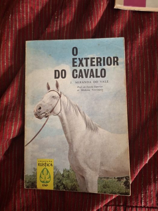 O exterior do Cavalo hipismo equitação