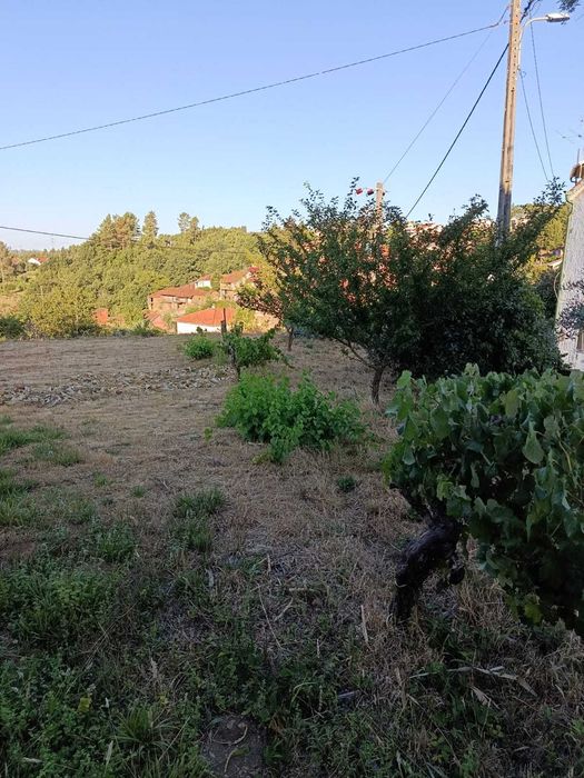 Lote para Construção (501m2) + 2 Terrenos Rústicos (1909m2) – A 7 km de Castro Daire