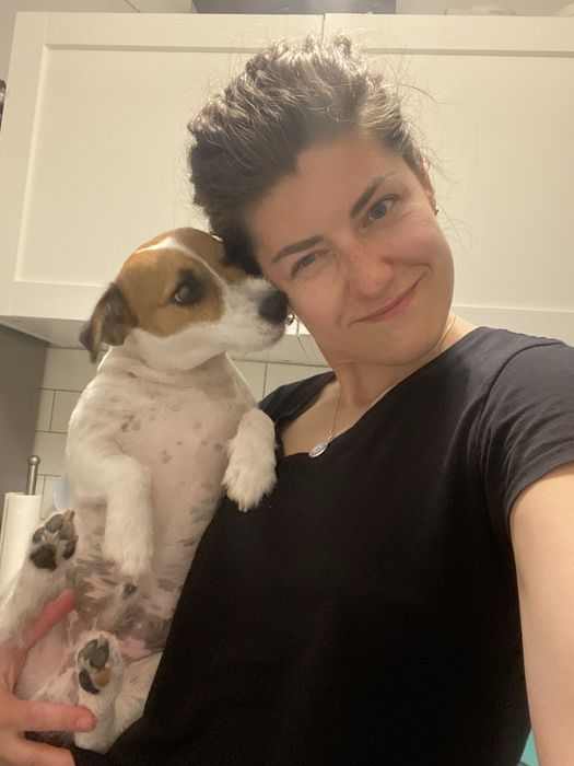 Petsitter, Opieka domowa dla psów