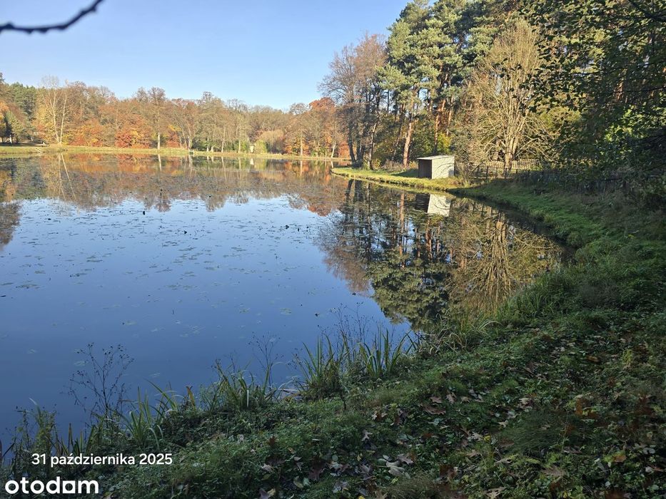 działki rekreacyjne w scenerii leśnej, obok stawu Borowiany
