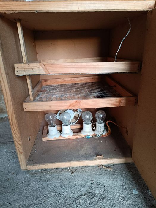 Інкубатор під ремонт