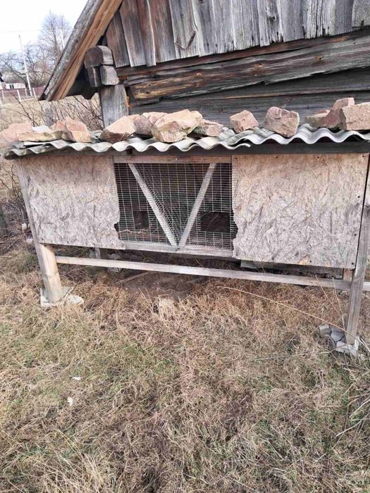 Клітки для кролів