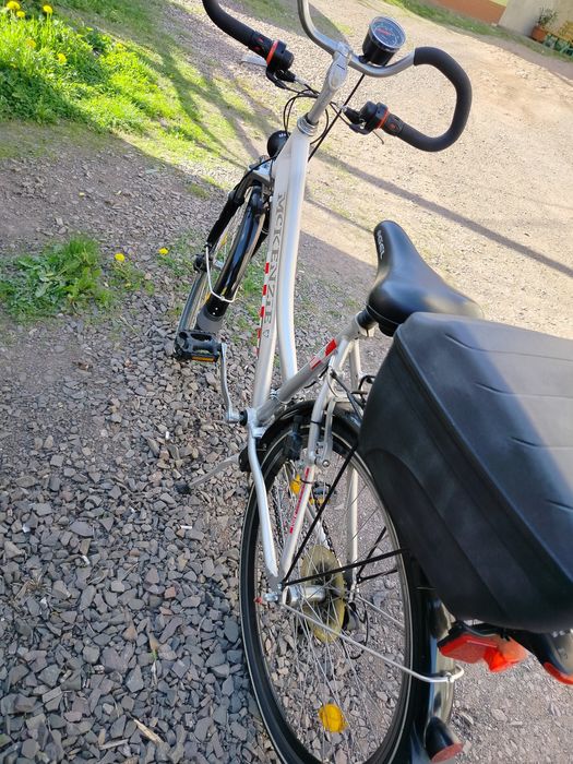 Mackenzie 26 damsko męski