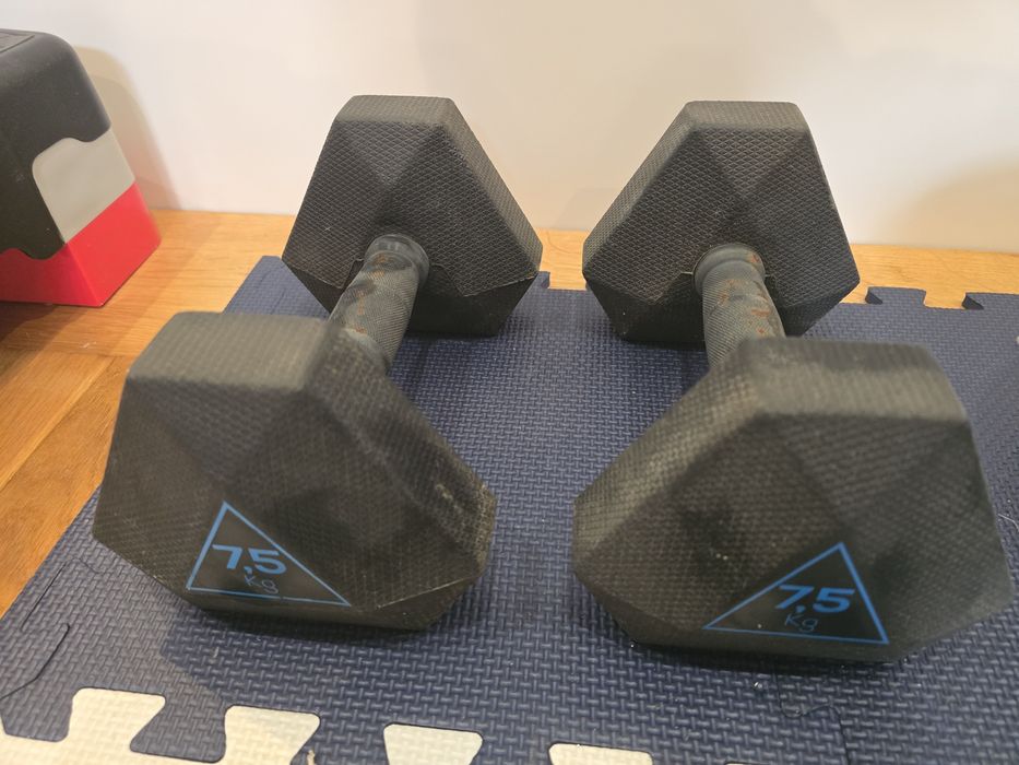 Musculação - halteres 7.5kg / discos 5 e 7.5kg / kettlebell 10 e 20kg / step