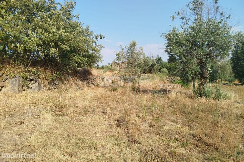 Plot of Land, Santiago de Cassurrães and Póvoa de Cervães