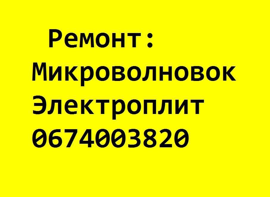 Ремонт микроволновок и электроплит.