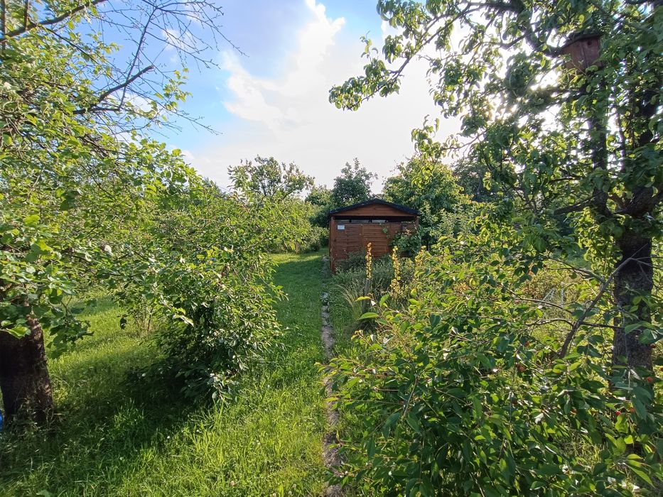 ROD Łączność Ziębicka Wrocław - Widok 2