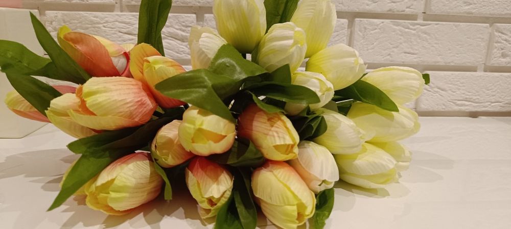 Tulipany ozdobne