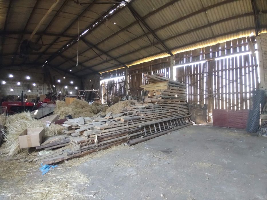 Drzewo bale sosna grubość 6 i 14 cm