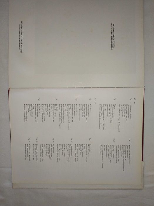 LIVRO RARO | A Pintura no Museu Nacional de Arte Antiga, J.L. Porfírio