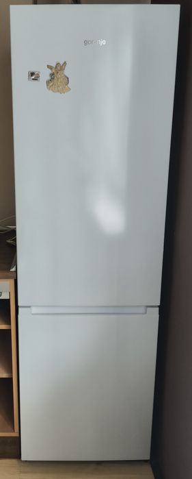 Chłodziarko-zamrażarka  Gorenje