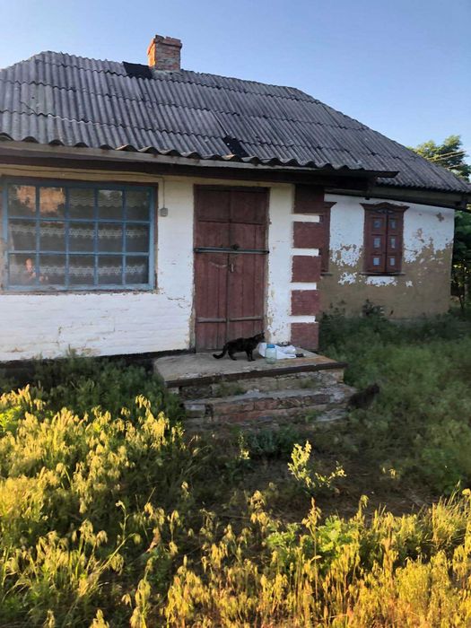 Продам дім в селі Степанівка Андріївської с/р