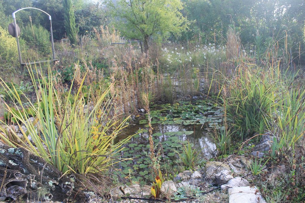 casa de campo em madeira na natureza