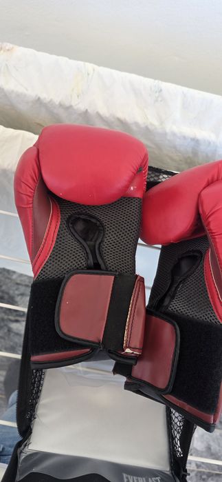 Kit Desportos de Combate: Luvas Boxe Everlast Elite 10oz + Caneleiras Outshock Tam. M