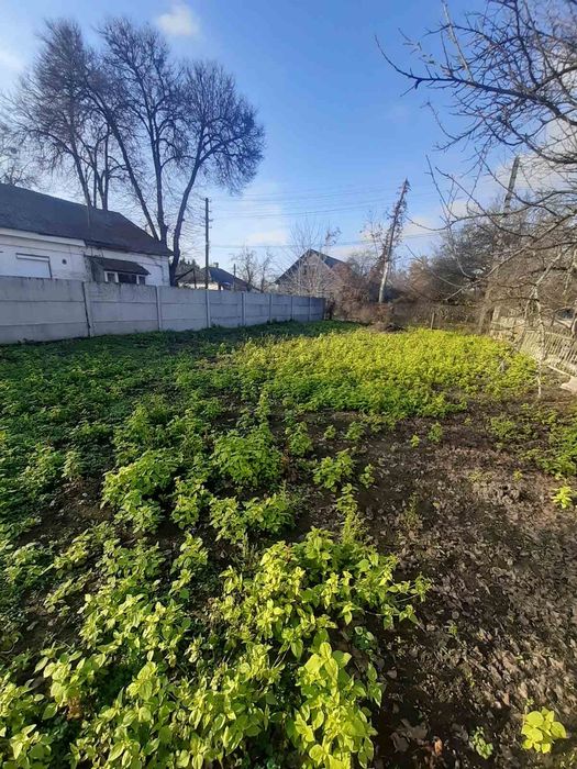 Продам земельну ділянку