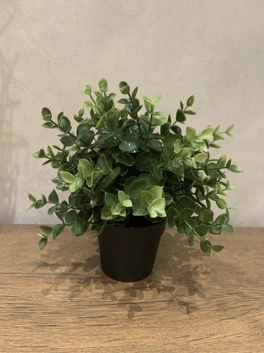 Искусственные растения